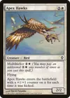 Product image for Apex Hawks