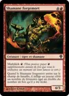 Product image for Shamane forgemort