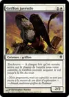 Product image for Griffon juvénile