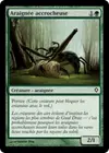 Product image for Araignée accrocheuse