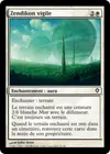 Product image for Zendikon vigile