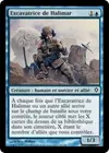 Product image for Excavatrice de Halimar