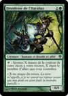 Product image for Druidesse de l'Harabaz