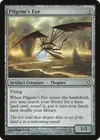 Product image for Pilgrim's Eye