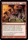 Product image for Terrain victime du Roulis