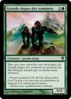 Product image for Grands singes des sommets