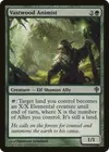 Product image for Vastwood Animist