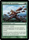 Product image for Zendikon de Vastebois