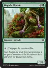 Product image for Dryade florale
