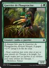 Product image for Guerrier de Plongeracine