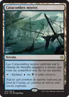 Product image for Catacombes noyées