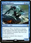 Product image for Fleet Swallower
