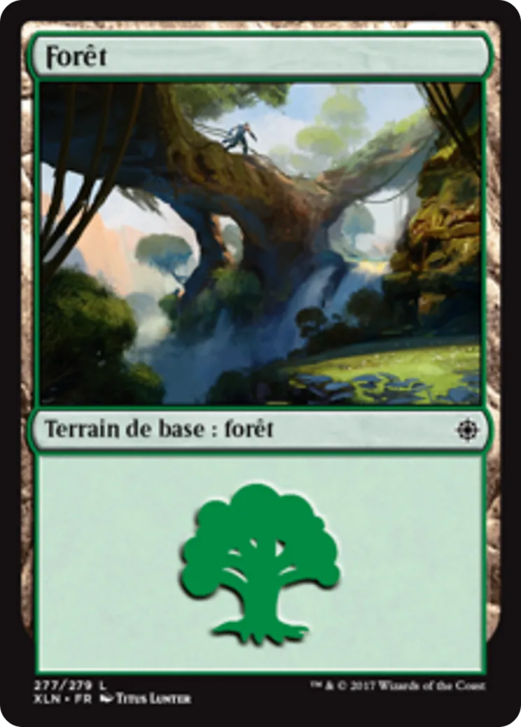 Forêt — Ixalan — Magic: The Gathering