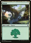 Product image for Forest