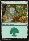 Product image for Forest