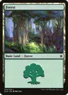 Product image for Forest
