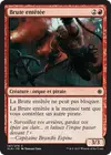 Product image for Brute entêtée