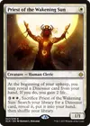 Product image for Priest of the Wakening Sun