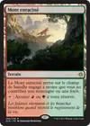 Product image for Mont enraciné