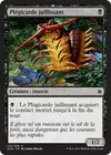 Product image for Plégicarde jaillissant
