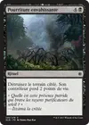 Product image for Pourriture envahissante