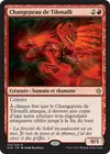 Product image for Changepeau de Tilonalli