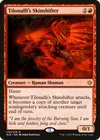 Product image for Tilonalli's Skinshifter