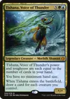 Product image for Tishana, Voice of Thunder