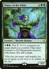 Product image for Waker of the Wilds