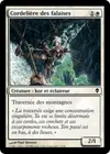 Product image for Cordelière des falaises