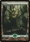 Product image for Forest