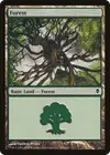 Product image for Forêt