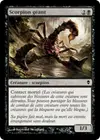 Product image for Scorpion géant