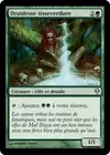 Product image for Druidesse tisseverdure