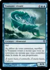 Product image for Tsunami vivant