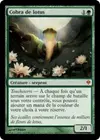 Product image for Cobra de lotus