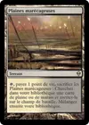 Product image for Plaines marécageuses