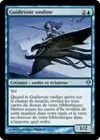 Product image for Guidevoie ondine