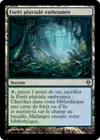 Product image for Forêt pluviale embrumée