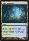 Product image for Misty Rainforest
