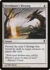 Product image for Shieldmate's Blessing