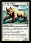 Product image for Lynx des steppes