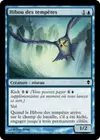Product image for Hibou des tempêtes