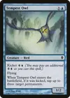 Product image for Tempest Owl