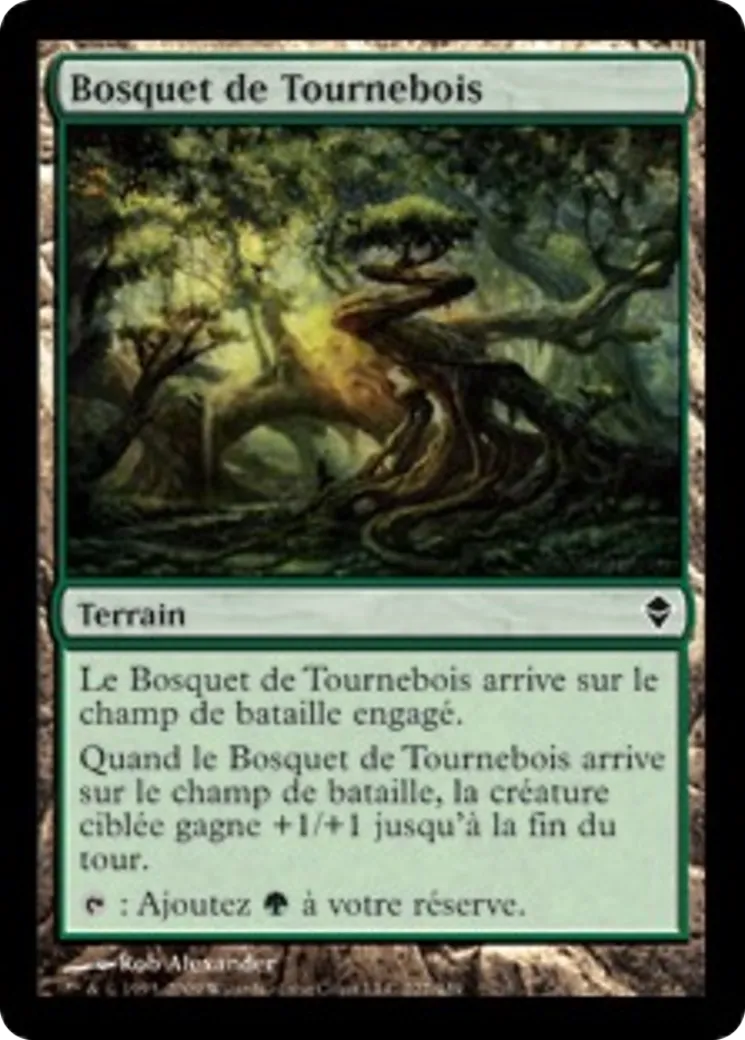 Bosquet de Tournebois — Zendikar — Magic: The Gathering