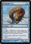 Product image for Windrider Eel