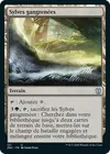 Product image for Sylves gangrenées