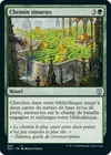 Product image for Chemin sinueux