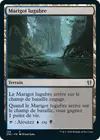 Product image for Marigot lugubre