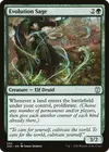 Product image for Evolution Sage